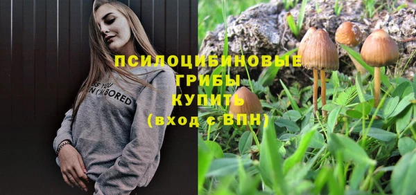 спиды Сосновка