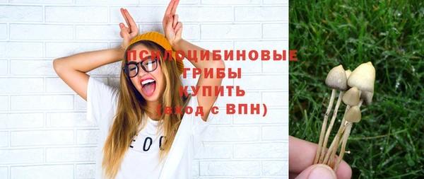 а пвп мука Баксан