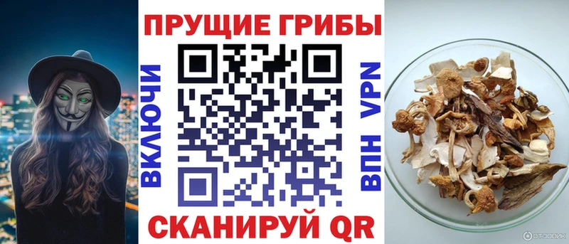 Галлюциногенные грибы GOLDEN TEACHER KRAKEN зеркало Вольск